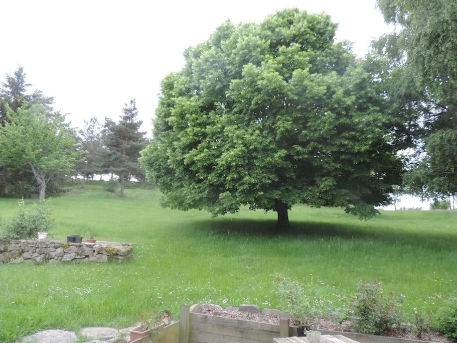 Chambre A La Campagne Saint Andre De Chalencon Екстериор снимка